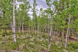 130 Summit Way, Bailey, CO 80421 - Photo 23