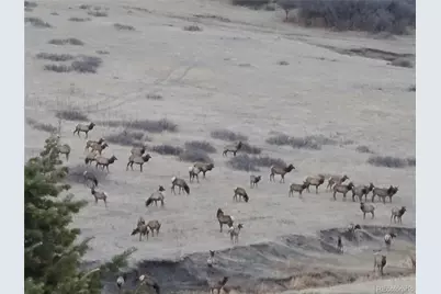 7427 Slate Court, Castle Rock, CO 80108 - Photo 47