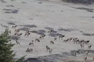 7427 Slate Ct, Castle Rock, CO 80108 - Photo 47