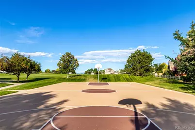 8463 Bed Straw Street, Parker, CO 80134 - Photo 33