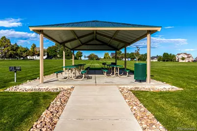 8463 Bed Straw Street, Parker, CO 80134 - Photo 31