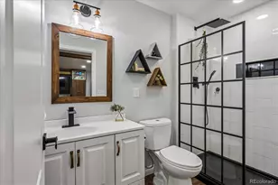 11053 E 28th Pl, Denver, CO 80238 - Photo 29