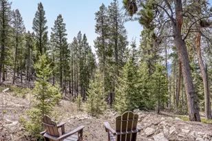 34628 Lyttle Dowdle Dr, Golden, CO 80403 - Photo 35