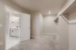 13449 Waterthrush St, Parker, CO 80134 - Photo 19