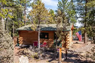 33885 La Plata Ln, Pine, CO 80470 - Photo 23