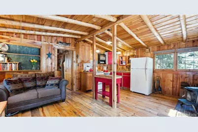 33885 La Plata Lane, Pine, CO 80470 - Photo 9