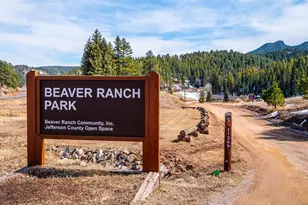 33885 La Plata Ln, Pine, CO 80470 - Photo 29