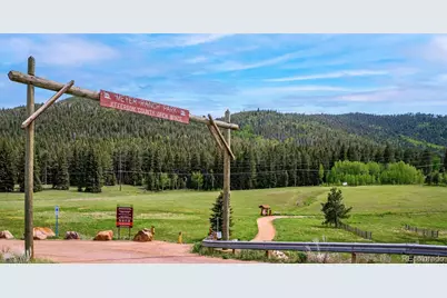 33885 La Plata Lane, Pine, CO 80470 - Photo 33