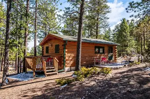 33885 La Plata Ln, Pine, CO 80470 - Photo 1