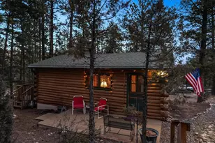 33885 La Plata Ln, Pine, CO 80470 - Photo 25