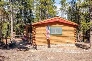 33885 La Plata Ln, Pine, CO 80470 - Photo 13