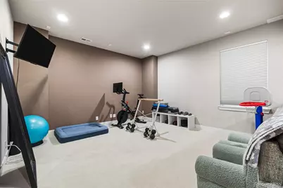 2859 Lima Street, Denver, CO 80238 - Photo 25