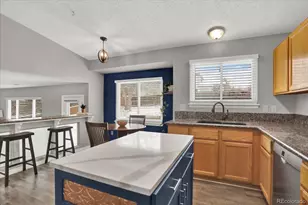 9689 Townsville Circle, Highlands Ranch, CO 80130 - Photo 3