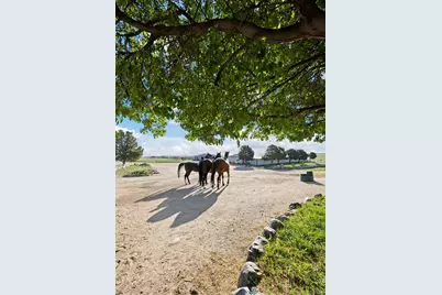 1705 Outter Marker Road, Castle Rock, CO 80108 - Photo 27