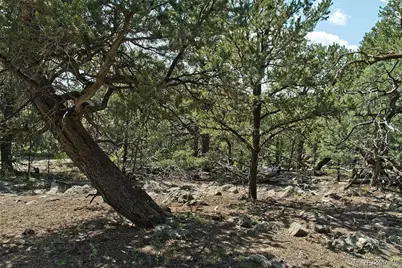 532 N Hillcrest Ol, Crestone, CO 81131 - Photo 7