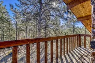 436 Dawson Rd, Pine, CO 80470 - Photo 23