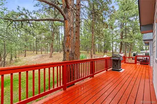 34525 Forest Park Dr, Elizabeth, CO 80107 - Photo 21