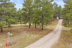 34525 Forest Park Dr, Elizabeth, CO 80107 - Photo 47