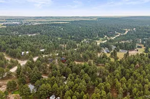 34525 Forest Park Dr, Elizabeth, CO 80107 - Photo 49