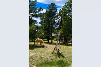 34525 Forest Park Drive, Elizabeth, CO 80107 - Photo 1