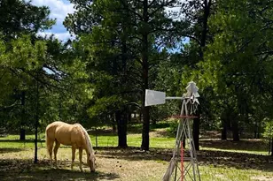 34525 Forest Park Dr, Elizabeth, CO 80107 - Photo 1
