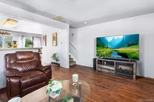 4528 Andes St, Denver, CO 80249 - Photo 5