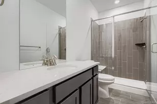 3916 Buttongrass Trail, Castle Rock, CO 80108 - Photo 7