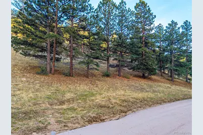 156 E Cline Drive, Shawnee, CO 80475 - Photo 21