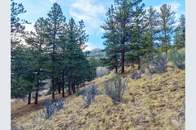 156 E Cline Drive, Shawnee, CO 80475 - Photo 13