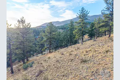 156 E Cline Drive, Shawnee, CO 80475 - Photo 11