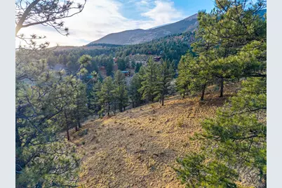 156 E Cline Drive, Shawnee, CO 80475 - Photo 5