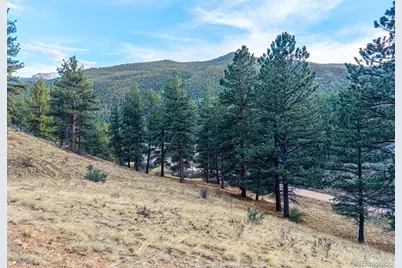 156 E Cline Drive, Shawnee, CO 80475 - Photo 9