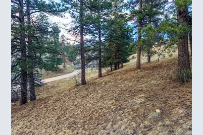 156 E Cline Drive, Shawnee, CO 80475 - Photo 17