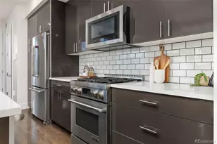 1578 Osceola St, Denver, CO 80204 - Photo 9