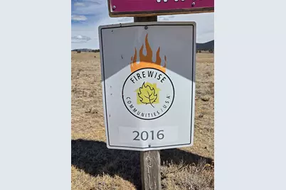 3489 Ute Trace, Hartsel, CO 80449 - Photo 9