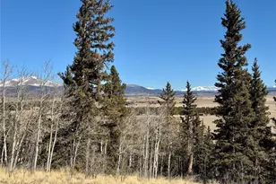 1872 High Creek Rd, Fairplay, CO 80440 - Photo 1