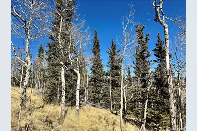 1872 High Creek Road, Fairplay, CO 80440 - Photo 33