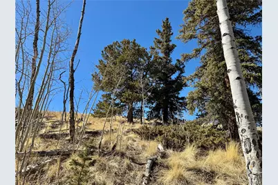 1872 High Creek Road, Fairplay, CO 80440 - Photo 31