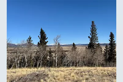 1872 High Creek Road, Fairplay, CO 80440 - Photo 11