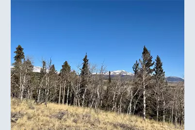 1872 High Creek Road, Fairplay, CO 80440 - Photo 3