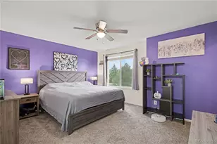 1309 Parsons Ave, Castle Rock, CO 80104 - Photo 11