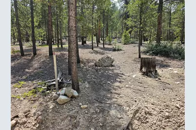 426 Sequoia Drive, Twin Lakes, CO 81251 - Photo 13