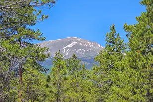 426 Sequoia Dr, Twin Lakes, CO 81251 - Photo 1