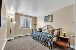 157 Cheney Pl, Castle Rock, CO 80104 - Photo 27