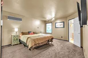 157 Cheney Pl, Castle Rock, CO 80104 - Photo 19