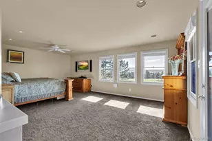 157 Cheney Pl, Castle Rock, CO 80104 - Photo 11