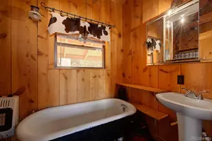 1159 Pfotenhauer Rd, Fort Garland, CO 81133 - Photo 15