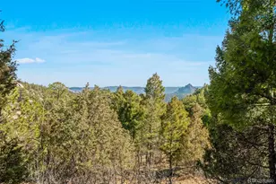 28100 Stonecrop Trail, Conifer, CO 80433 - Photo 11