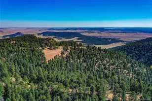 14059 Blue Jay Ln, Larkspur, CO 80118 - Photo 1