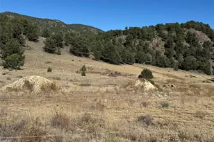 2925 Co Rd 1, Cotopaxi, CO 81223 - Photo 1